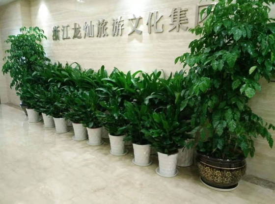 浙江龍燦旅游文化集團